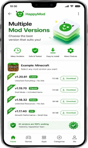Multiple Mod Versions